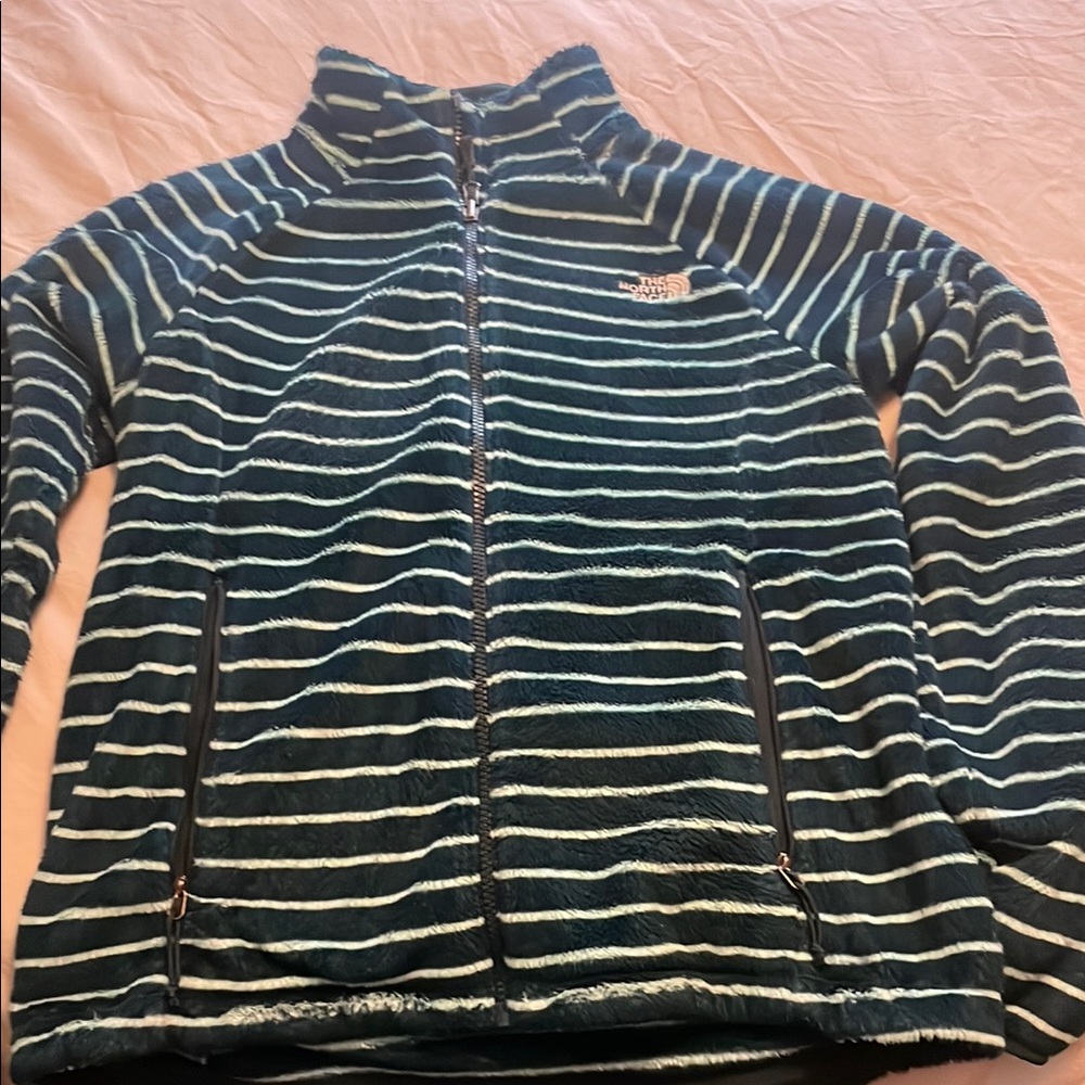 The North Face Turquoise and Teal Striped Fleece